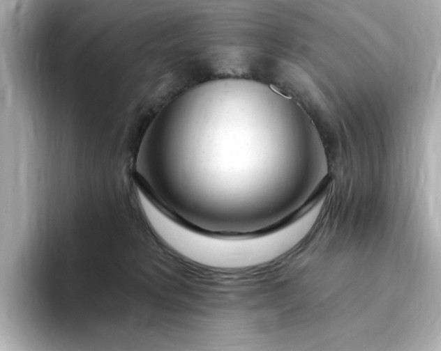 X0000095130229200712211336