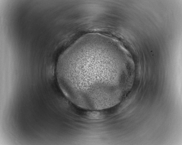 X0000095130230200712211336