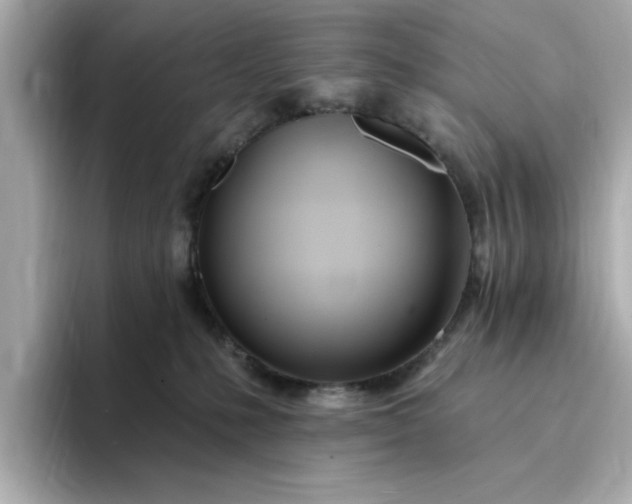 X0000095130231200712211336