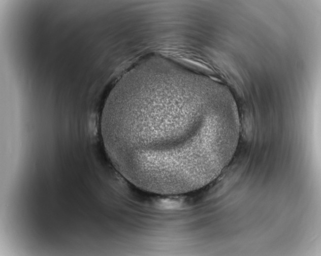 X0000095130232200712211336