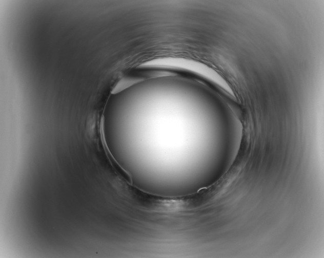 X0000095130233200712211336