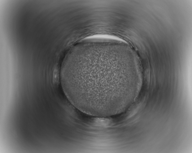 X0000095130234200712211336