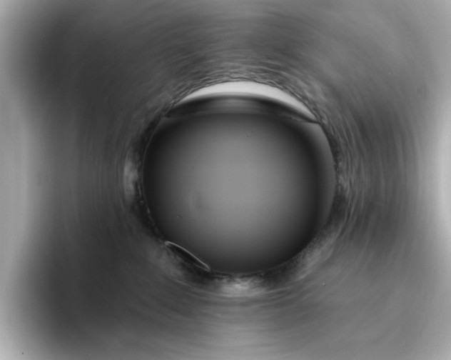 X0000095130235200712211336