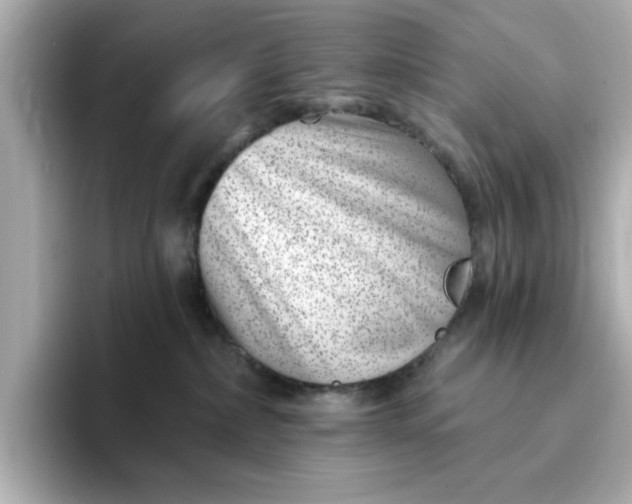 X0000095130236200712211336