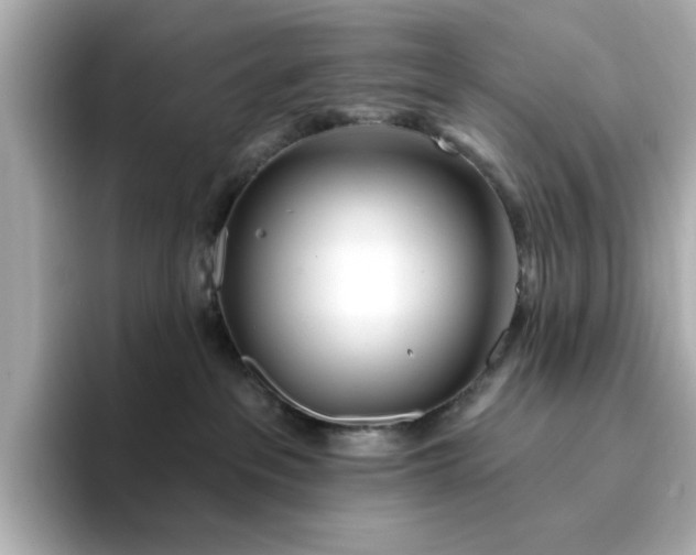 X0000095130237200712211336