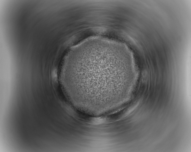 X0000095130238200712211336