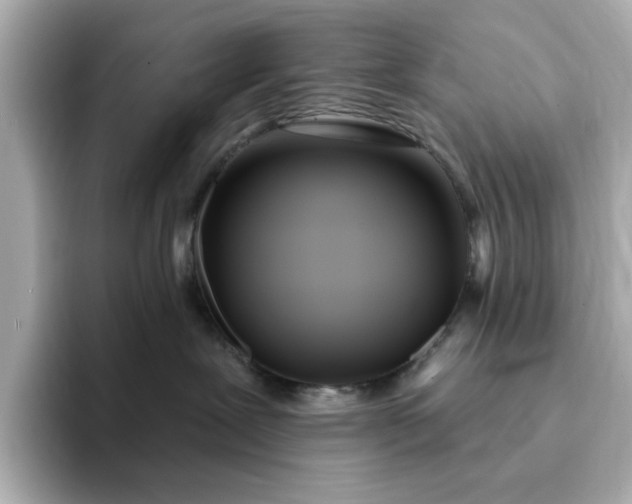 X0000095130239200712211336