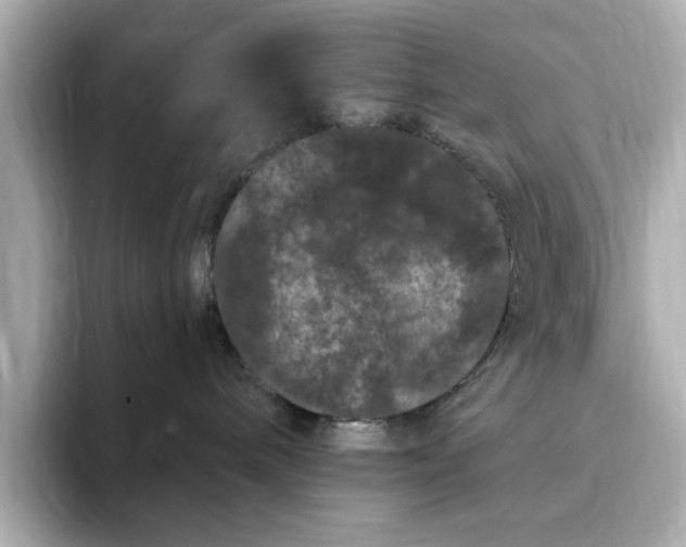 X0000095130240200712211336