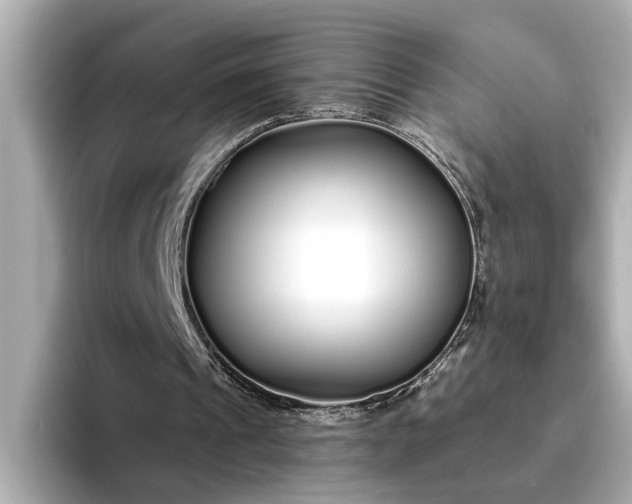 X0000095130241200712211335