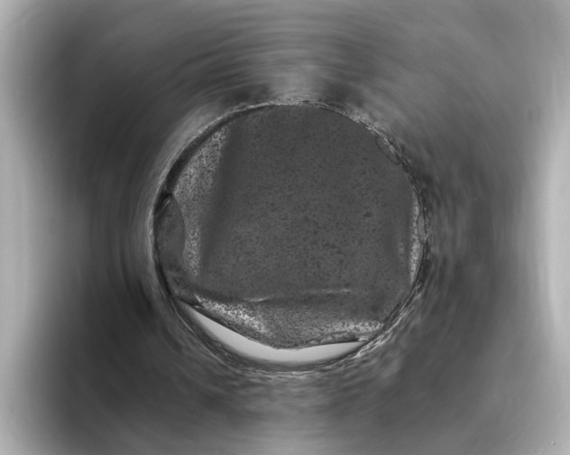 X0000095130242200712211335