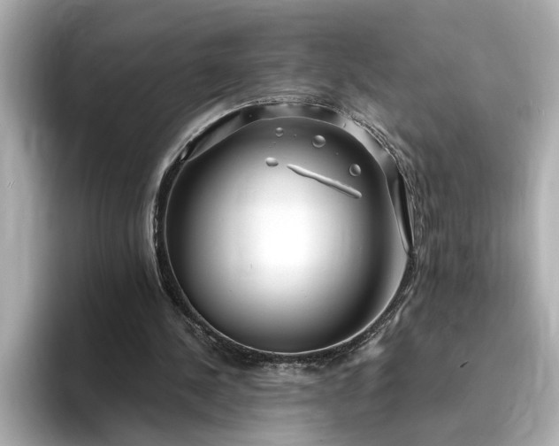 X0000095130244200712211335