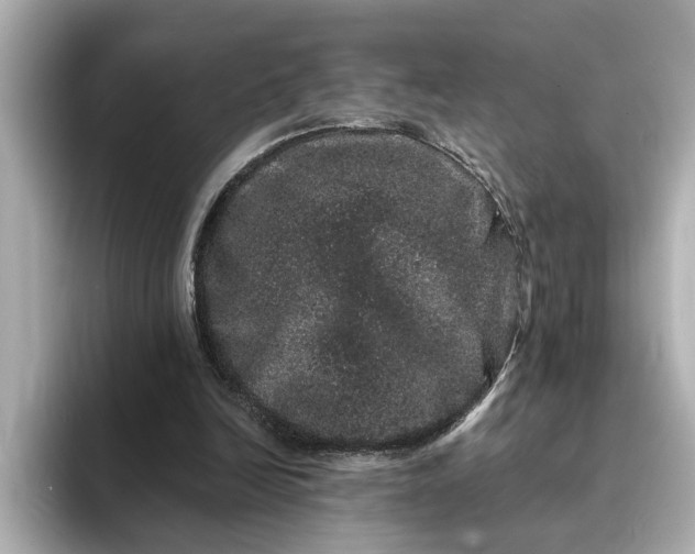 X0000095130246200712211335