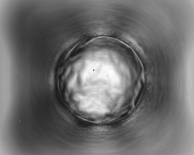 X0000095130250200712211335