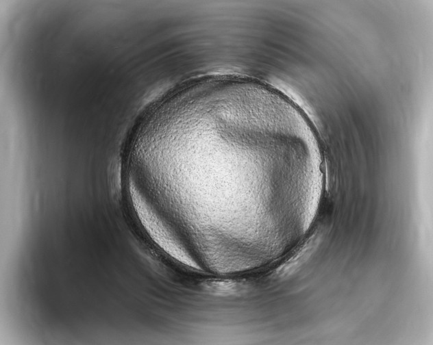 X0000095130253200712211335