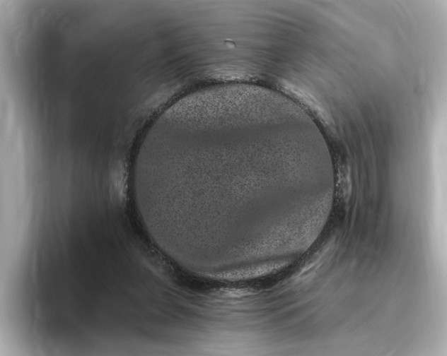 X0000095130255200712211335