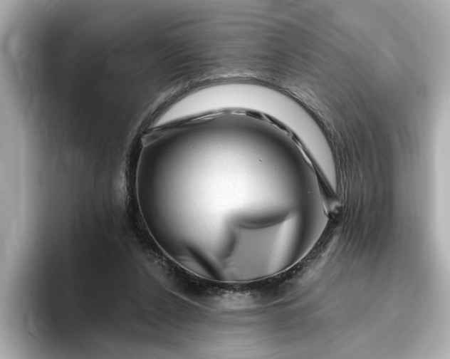 X0000095130256200712211336