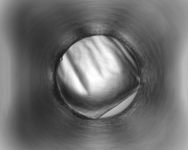 X0000095130258200712211336