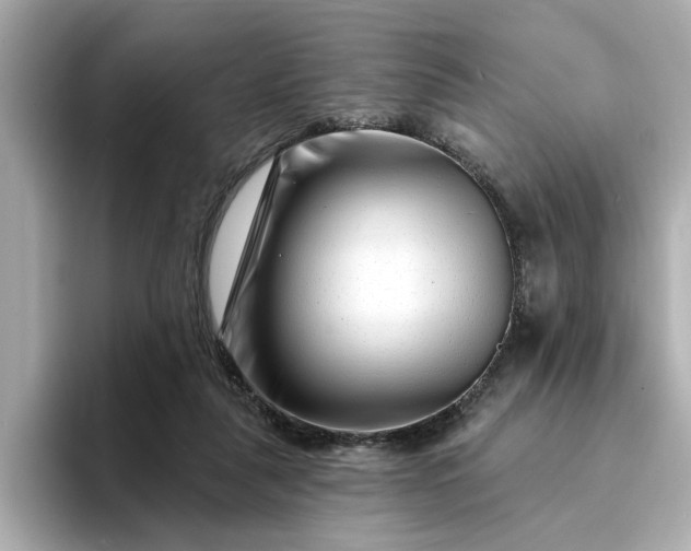 X0000095130259200712211336