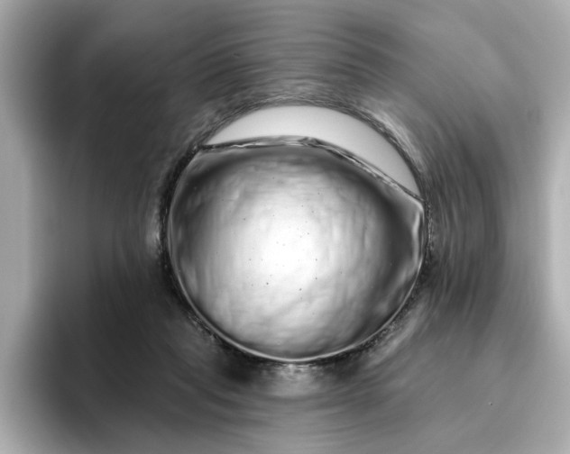 X0000095130261200712211336