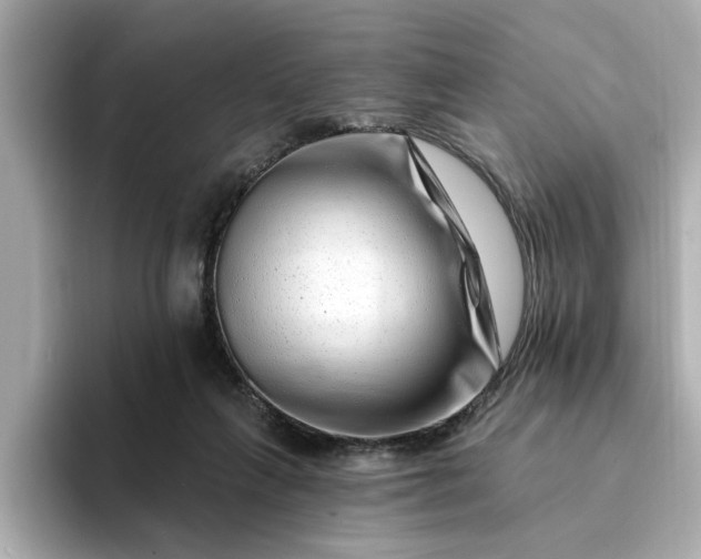 X0000095130263200712211336