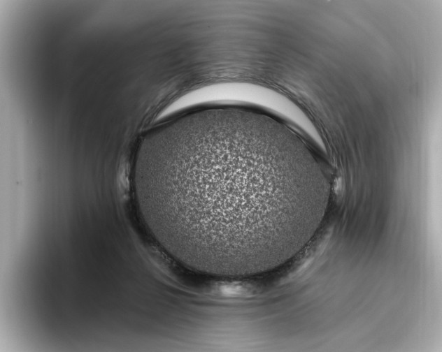 X0000095130264200712211336