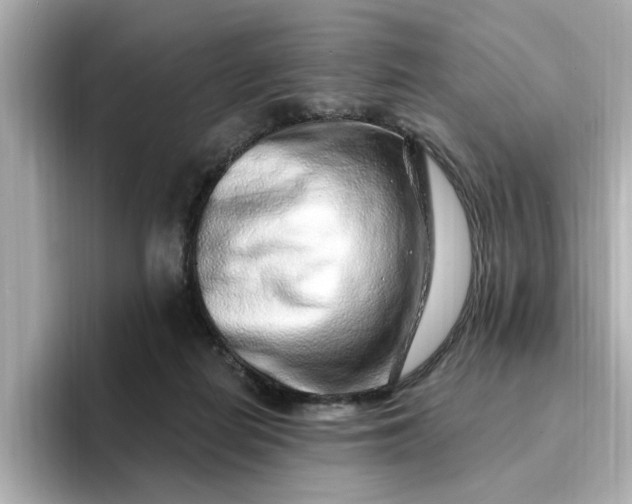 X0000095130266200712211336