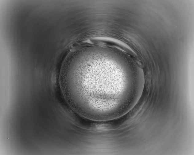 X0000095130268200712211336