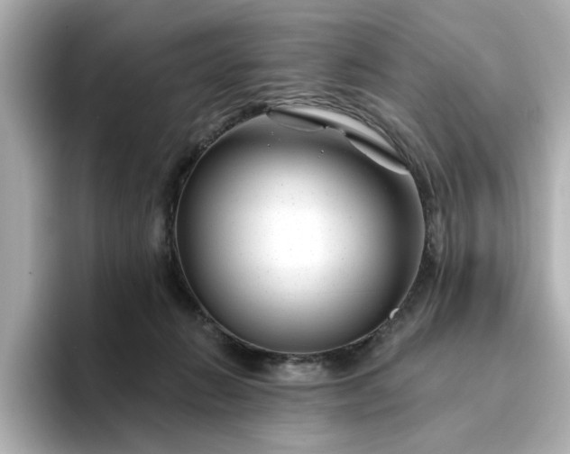 X0000095130270200712211336