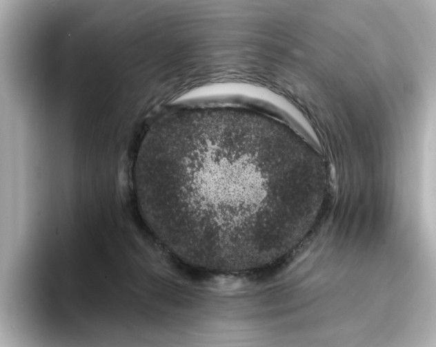 X0000095130272200712211336