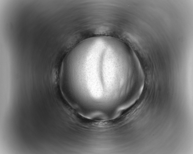 X0000095130273200712211336