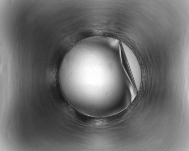 X0000095130275200712211336