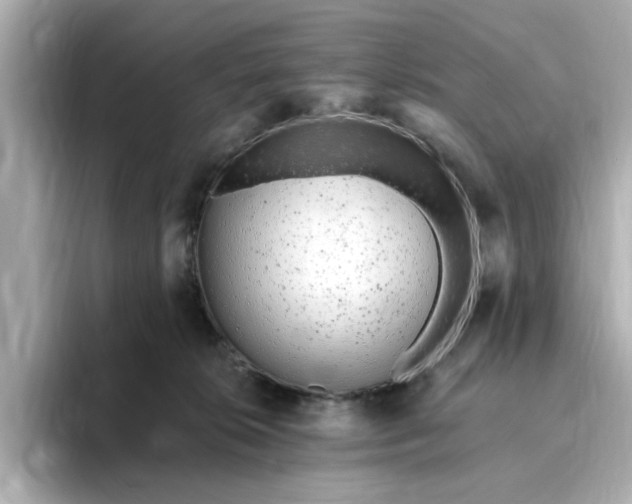 X0000095130276200712211336