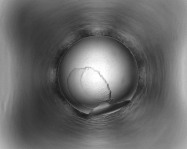 X0000095130278200712211336