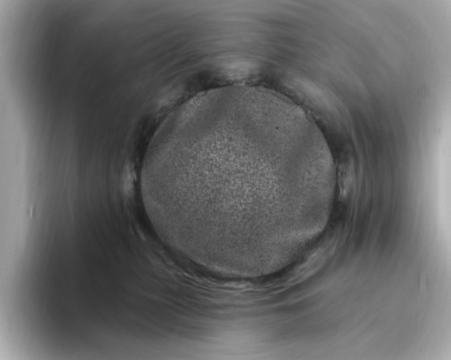 X0000095130279200712211336