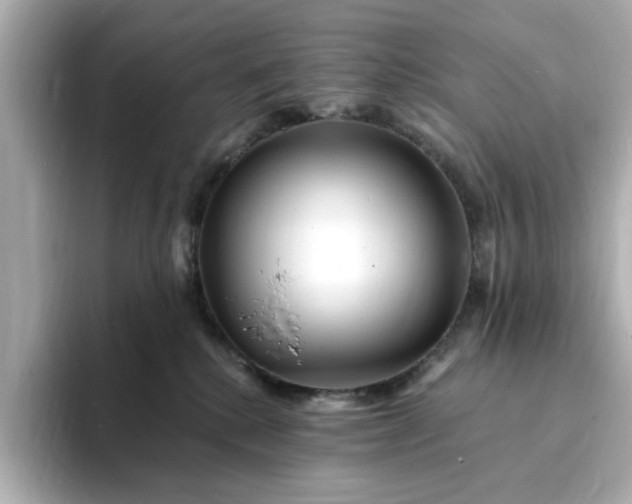 X0000095130280200712211336