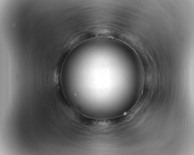 X0000095130282200712211336