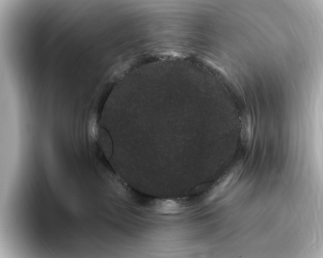 X0000095130287200712211336