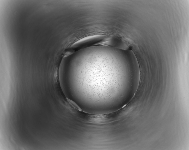 X0000095130288200712211336