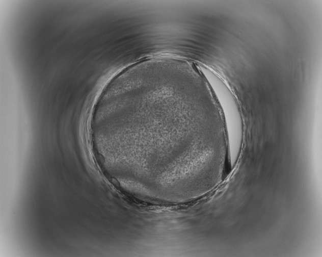 X0000095130289200712211335