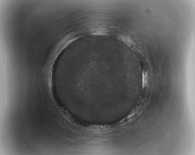 X0000095130291200712211335