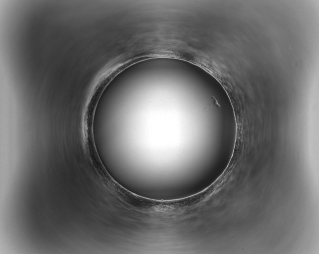 X0000095130294200712211335