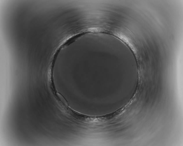 X0000095130297200712211335