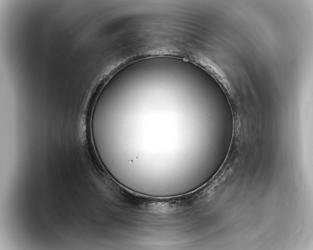 X0000095130298200712211335