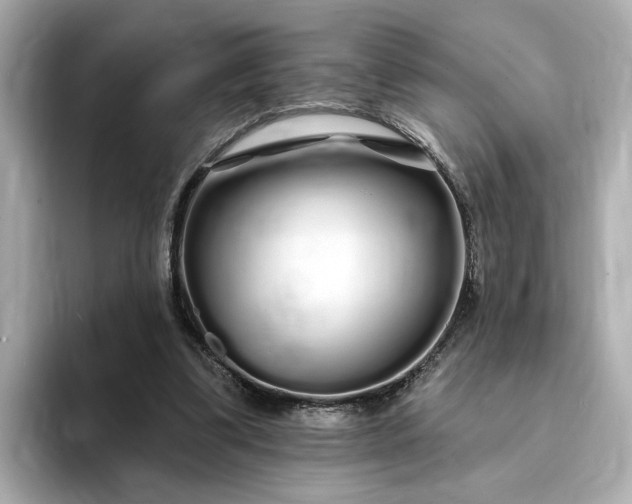 X0000095130299200712211335