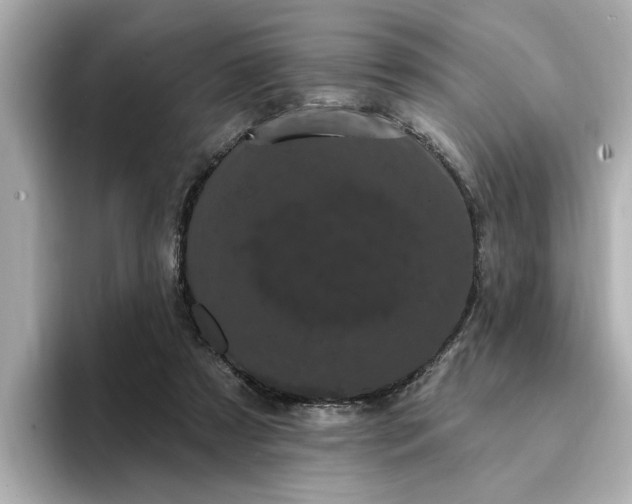 X0000095130305200712211335