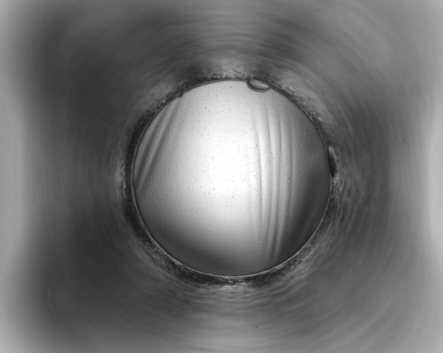 X0000095130306200712211335