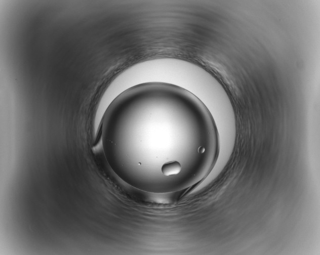 X0000095130308200712211335