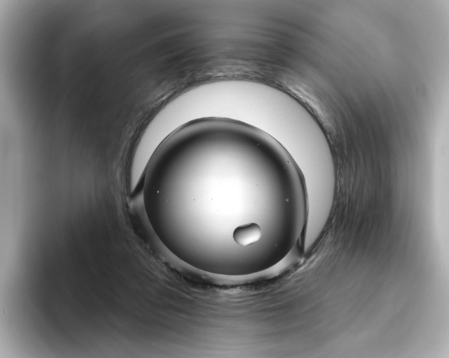 X0000095130309200712211335