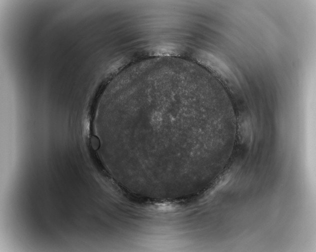 X0000095130310200712211335