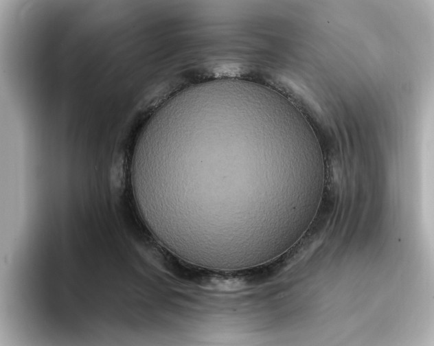 X0000095130311200712211335